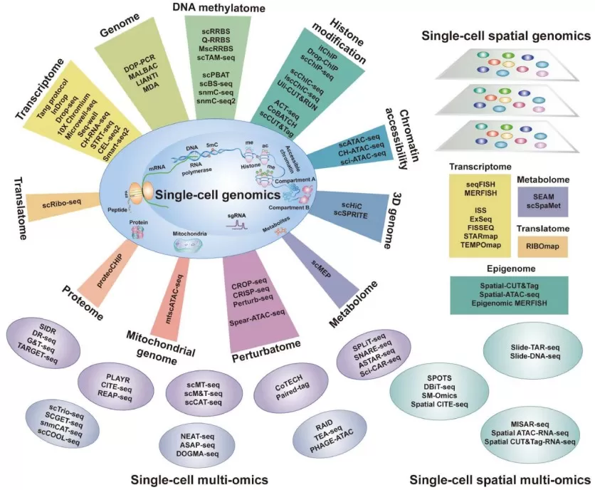 Figure 1. Single-cell Multi-omics Technologies (Wang et al., 2025)